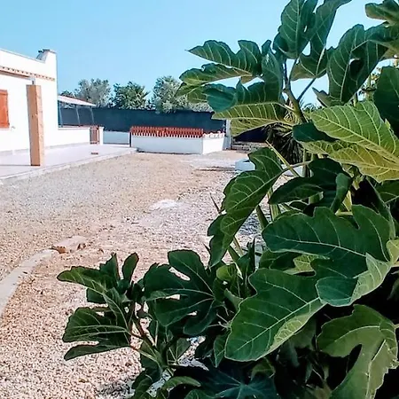 Villa Zaira Gallipoli Exterior photo